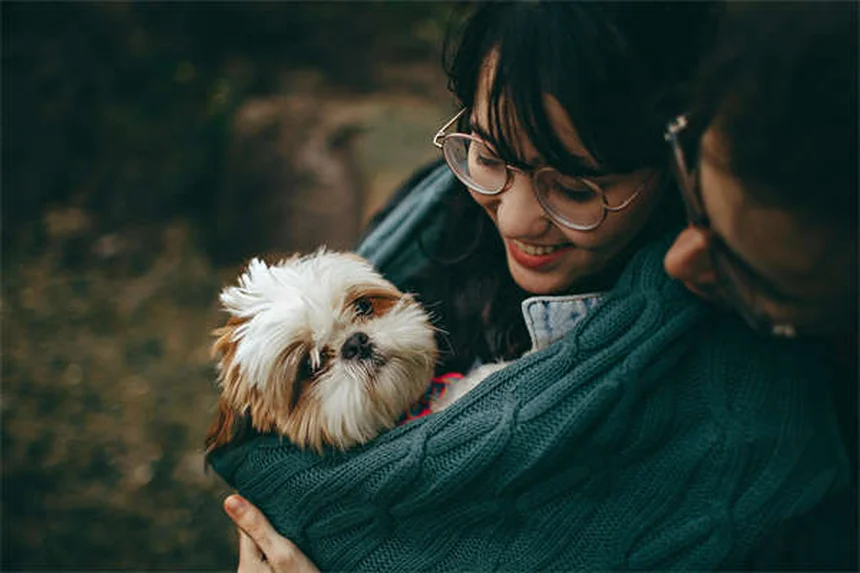 Do Cats Smile? The Surprising Truth About Feline Happiness